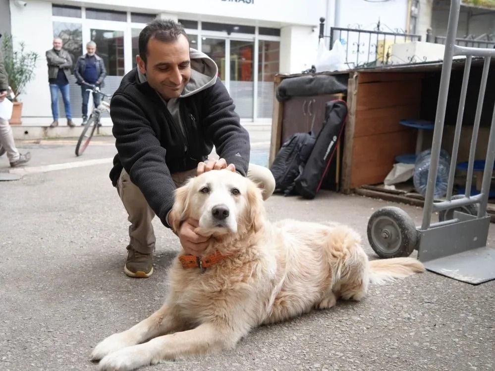 Köpeğin doktora havlaması sahibine 700 bin TL'ye patladı 4