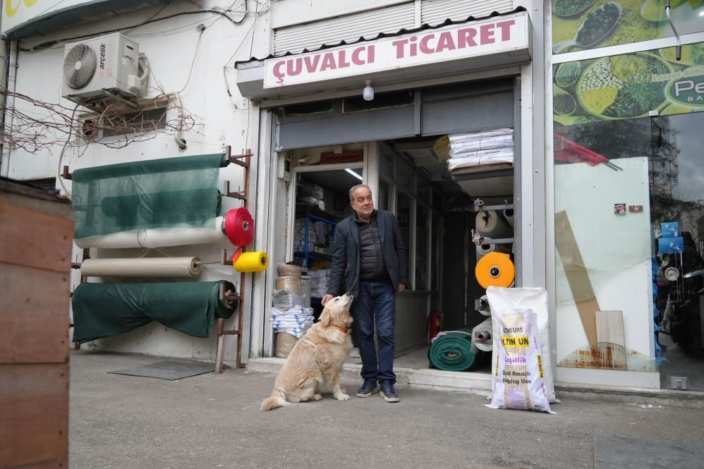 Köpeğin doktora havlaması sahibine 700 bin TL'ye patladı 5