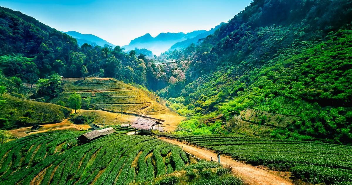 Tayland'ın turizm merkezi Chiang Mai havası en kirli şehir oldu 4