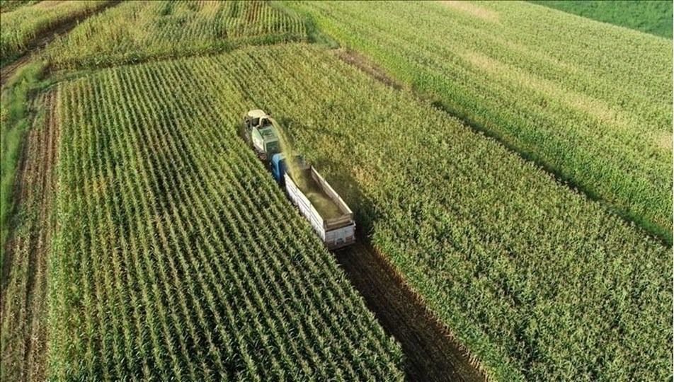 Bakan Yumaklı duyurdu: 1,6 milyar TL tarımsal destekleme ödemesi çiftçilerimizin hesaplarına aktarılıyor 6