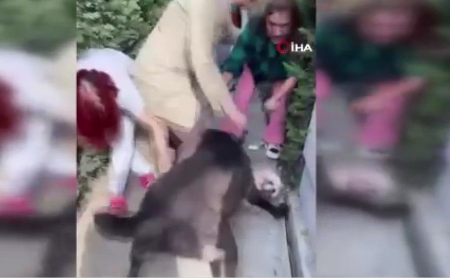 Köpeği dehşet saçan Banu Parlak, ''Beni katil ilan ettiniz'' diyerek isyan etti! ''Beyzbol sopalarıyla bana saldırdılar, darp raporu aldım'' 4
