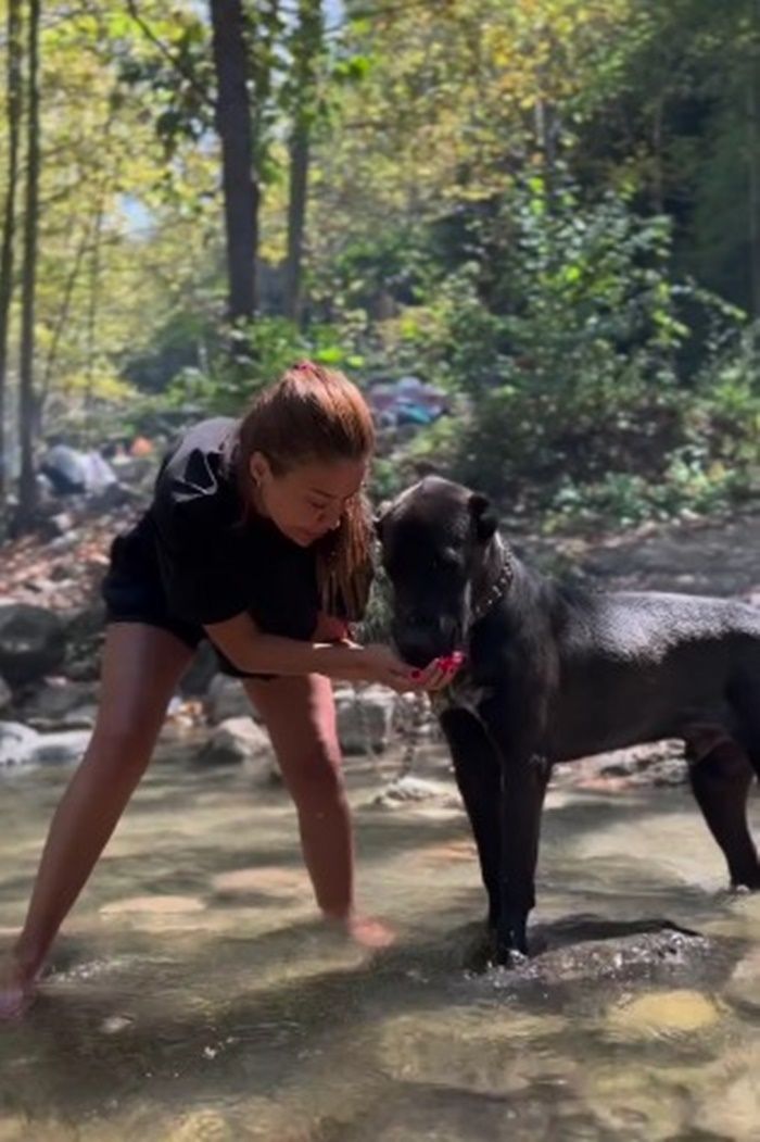 Köpeği dehşet saçan Banu Parlak, ''Beni katil ilan ettiniz'' diyerek isyan etti! ''Beyzbol sopalarıyla bana saldırdılar, darp raporu aldım'' 7