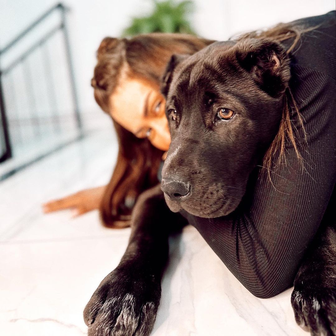 Köpeği dehşet saçan Banu Parlak, ''Beni katil ilan ettiniz'' diyerek isyan etti! ''Beyzbol sopalarıyla bana saldırdılar, darp raporu aldım'' 2