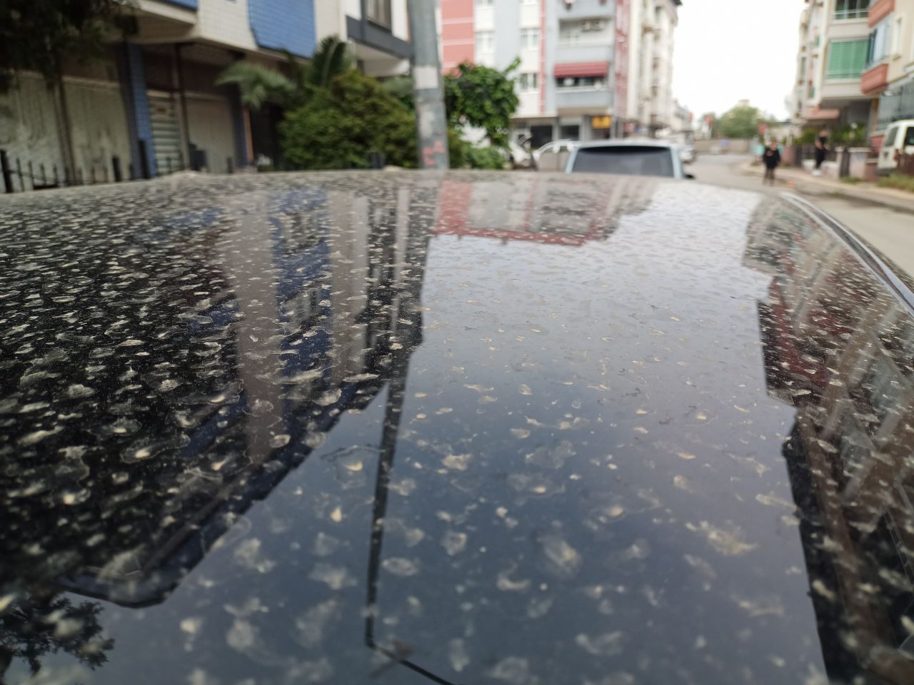 O ilde yaşayanlar dikkat! Bakanlık uyardı: Çöl tozları ciddi sağlık sorunlarına yol açabilir 7