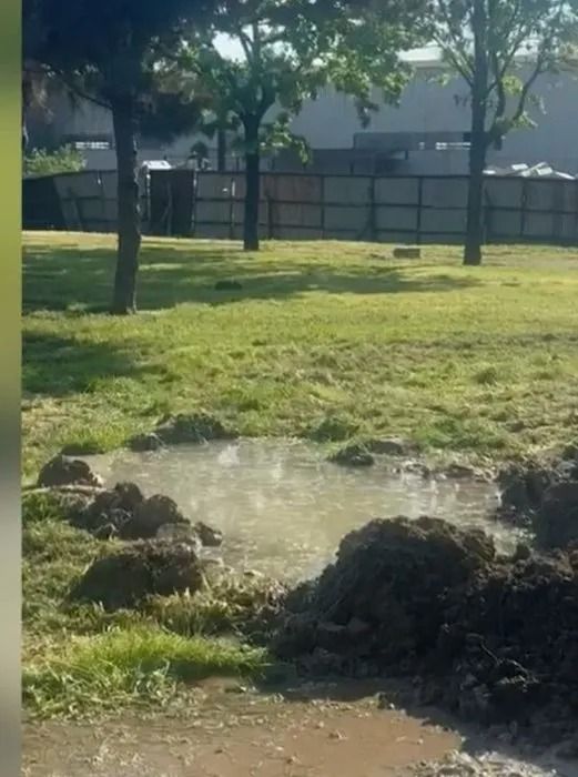 5 yaşındaki Edanur'un acı sonu! İBB'den açıklama geldi! 1