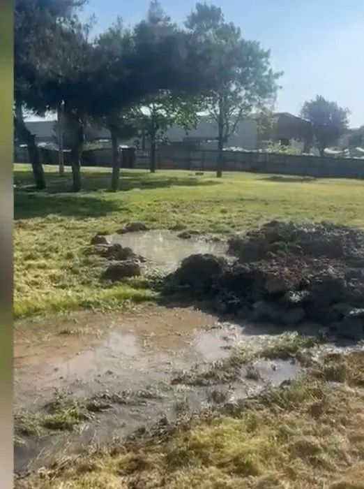 5 yaşındaki Edanur'un acı sonu! İBB'den açıklama geldi! 2