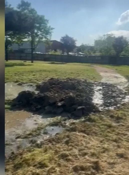 5 yaşındaki Edanur'un acı sonu! İBB'den açıklama geldi! 4