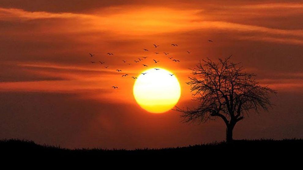 Bilim insanları uyardı: Sıcaklık 2 derece daha artarsa geri dönüşü yok! 3