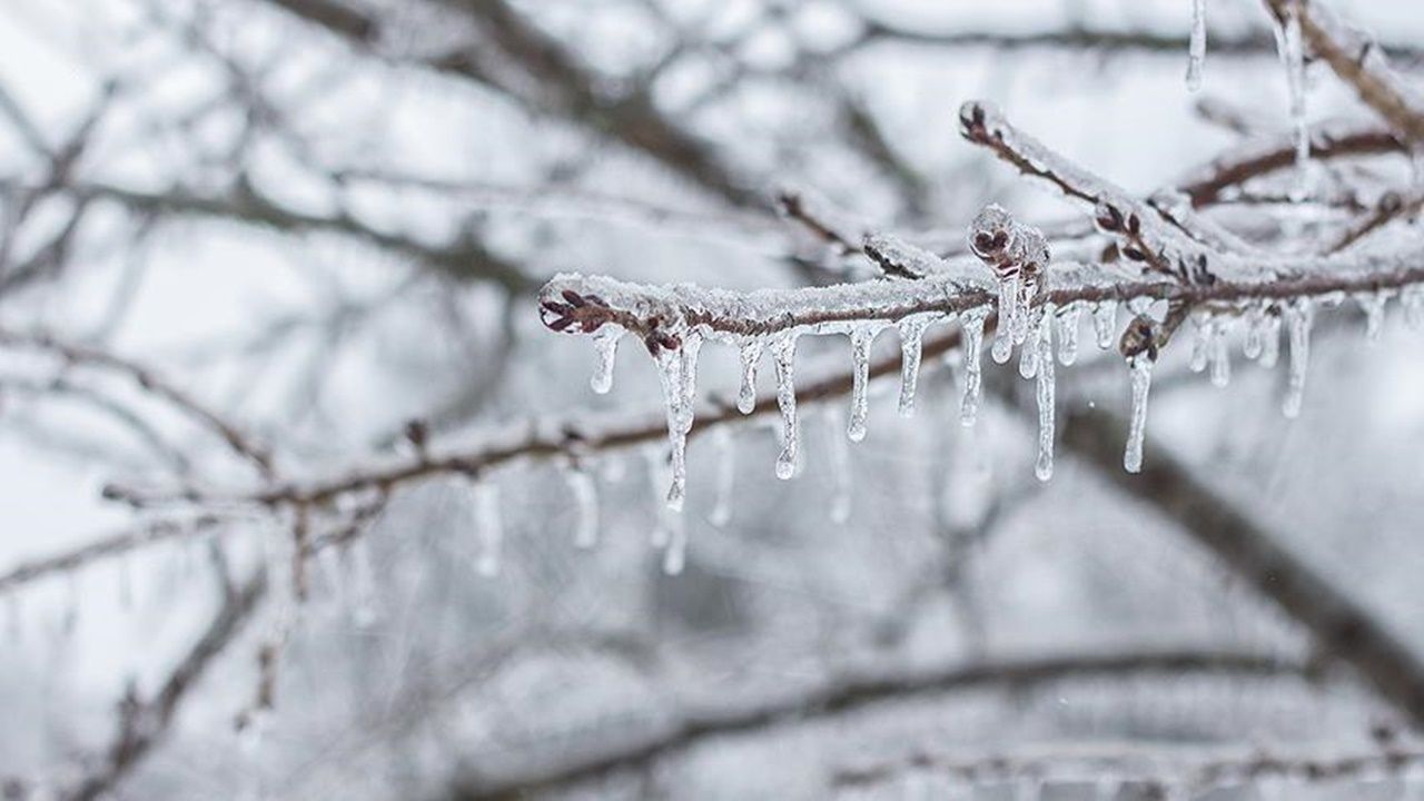 Meteorolojiden Ankara için zirai don uyarısı! 1
