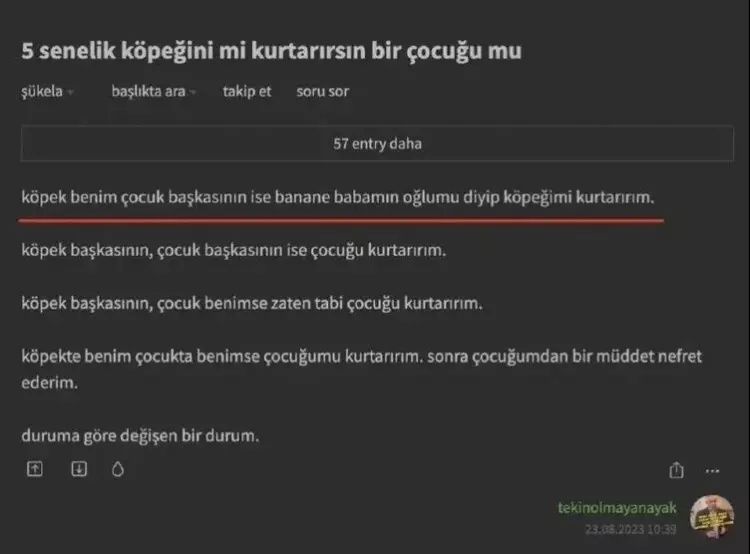 Ekşi Sözlük'te yeni skandal! Başıboş köpek sorunu üzerinden nefret kustular! "1 köpek için 1000 çocuğu öldürebilirim" 7