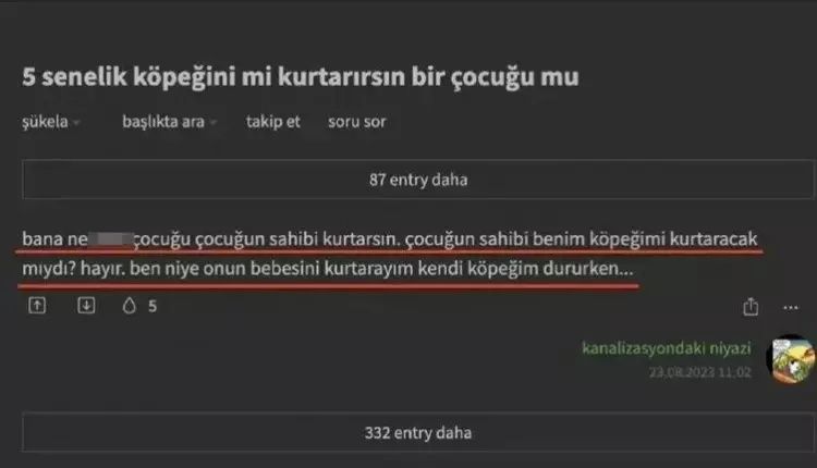 Ekşi Sözlük'te yeni skandal! Başıboş köpek sorunu üzerinden nefret kustular! "1 köpek için 1000 çocuğu öldürebilirim" 6
