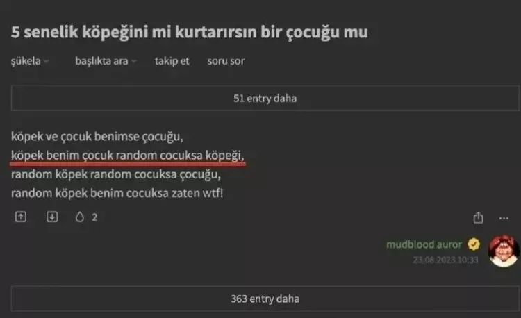 Ekşi Sözlük'te yeni skandal! Başıboş köpek sorunu üzerinden nefret kustular! "1 köpek için 1000 çocuğu öldürebilirim" 9