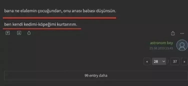 Ekşi Sözlük'te yeni skandal! Başıboş köpek sorunu üzerinden nefret kustular! "1 köpek için 1000 çocuğu öldürebilirim" 13
