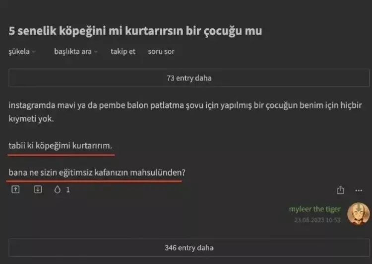 Ekşi Sözlük'te yeni skandal! Başıboş köpek sorunu üzerinden nefret kustular! "1 köpek için 1000 çocuğu öldürebilirim" 10