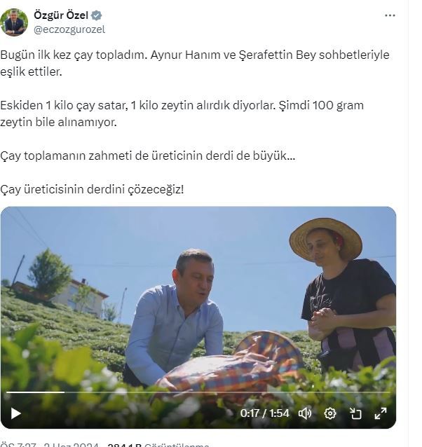 Çay mitingi öncesi renkli görüntüler: Özgür Özel eline makas alıp çay topladı 2