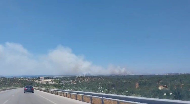 Ciğerlerimiz yanıyor! Çanakkale, Elazığ, Balıkesir ve Adana'da orman yangını 7