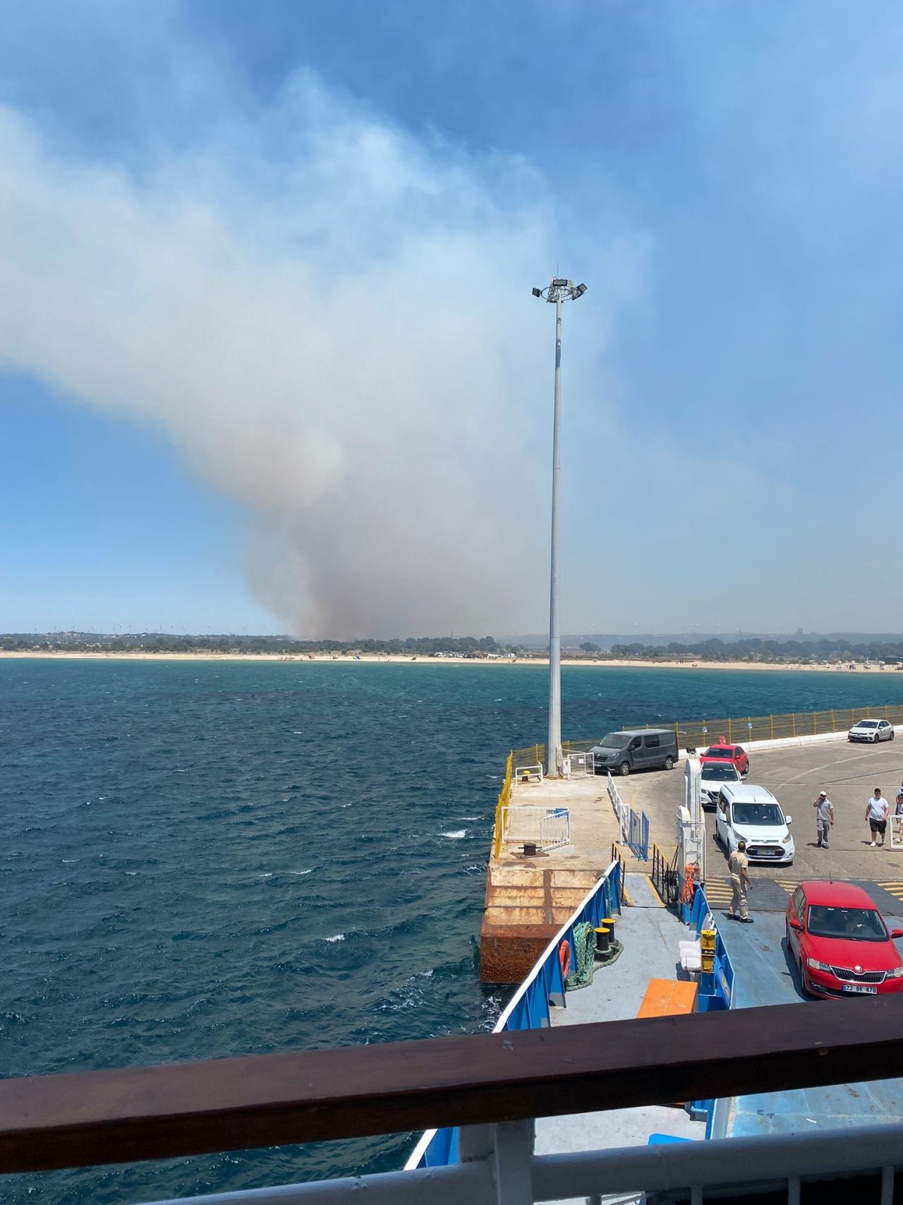 Ciğerlerimiz yanıyor! Çanakkale, Elazığ, Balıkesir ve Adana'da orman yangını 8