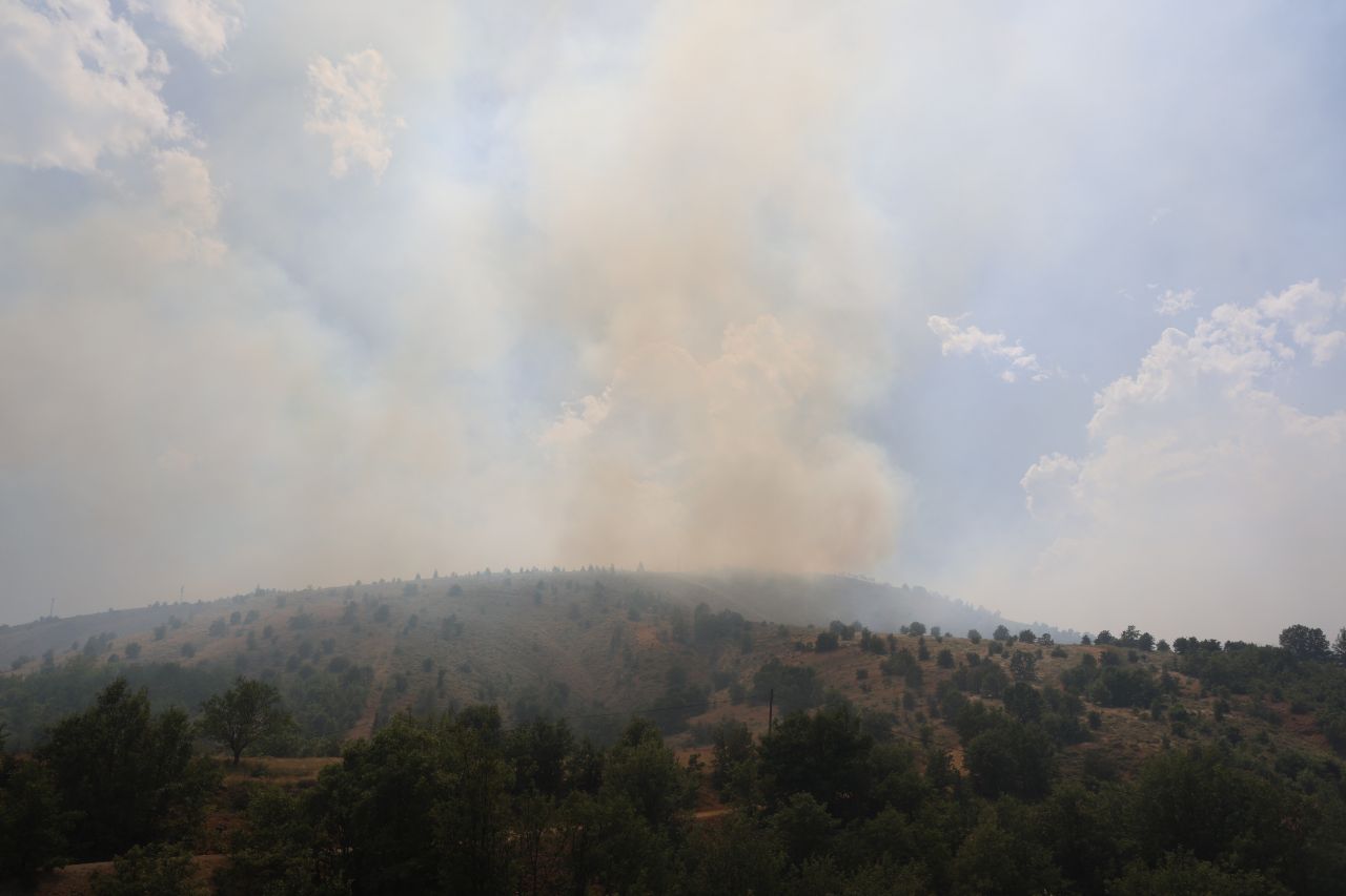 Ciğerlerimiz yanıyor! Çanakkale, Elazığ, Balıkesir ve Adana'da orman yangını 6