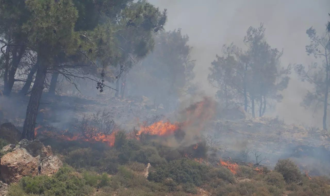 Ayvalık'ta korkutan yangın! Alevler plaja doğru ilerliyor... 1