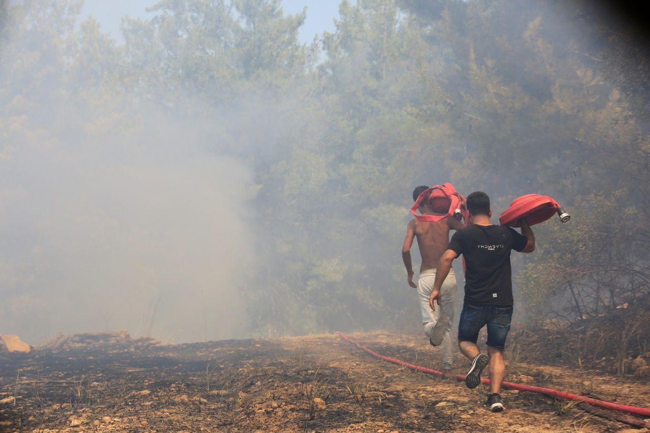 Antalya'da orman yangını! 4 hektarlık orman alanı ve seralar zarar gördü 4