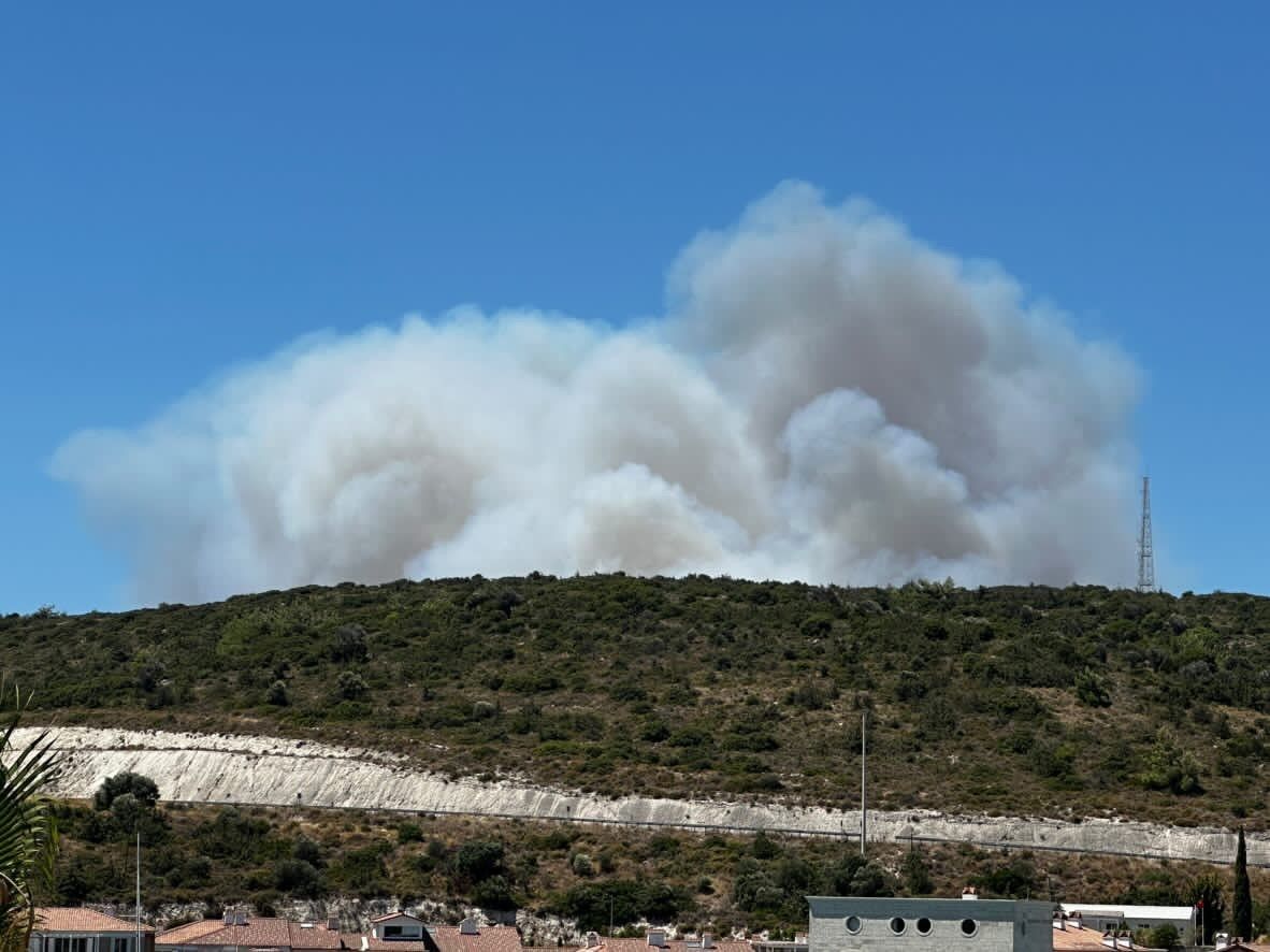 İzmir ve Manisa'da orman yangını! Alevlere, havadan ve karadan müdahale sürüyor 5