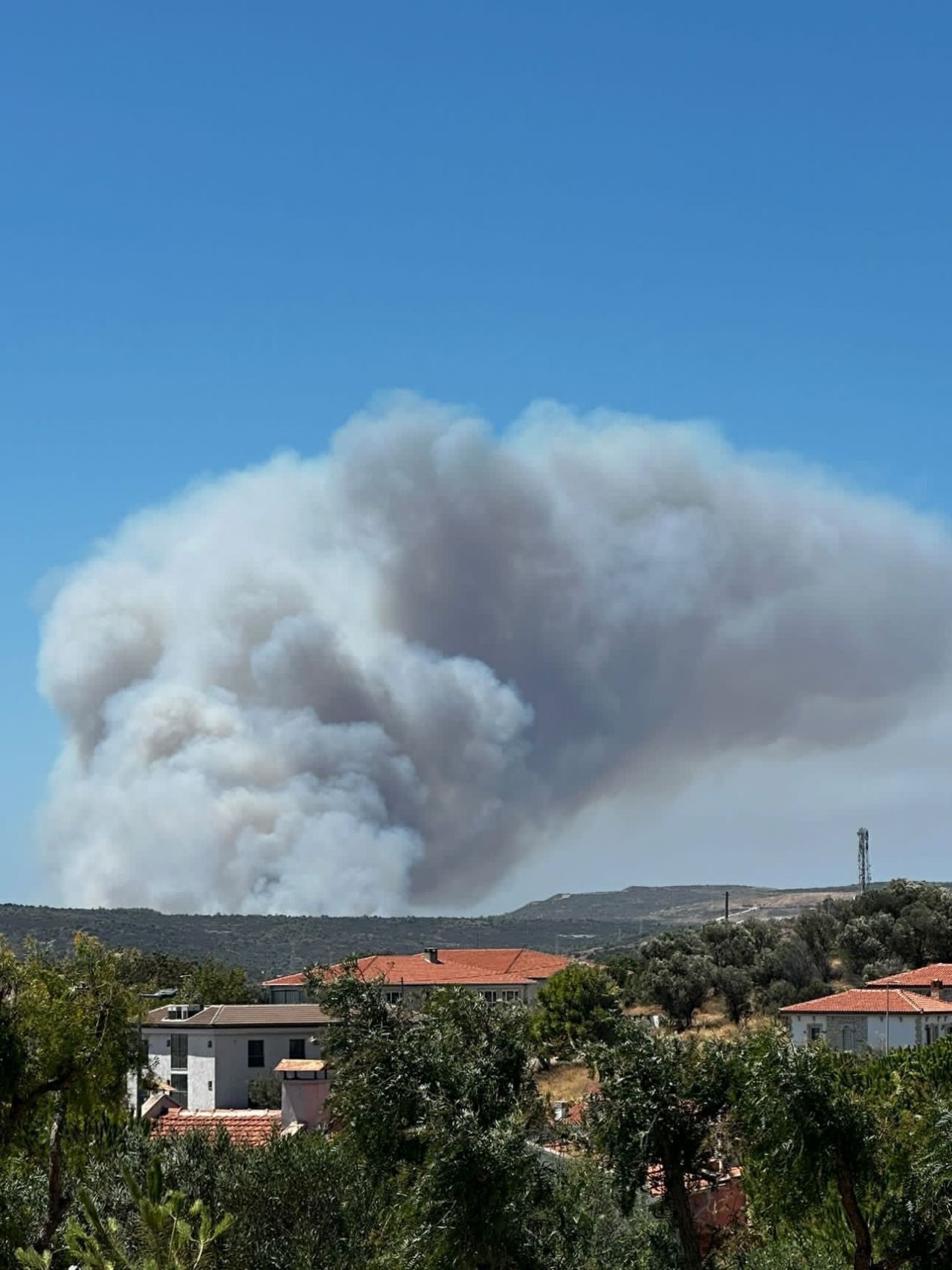 İzmir ve Manisa'da orman yangını! Alevlere, havadan ve karadan müdahale sürüyor 2