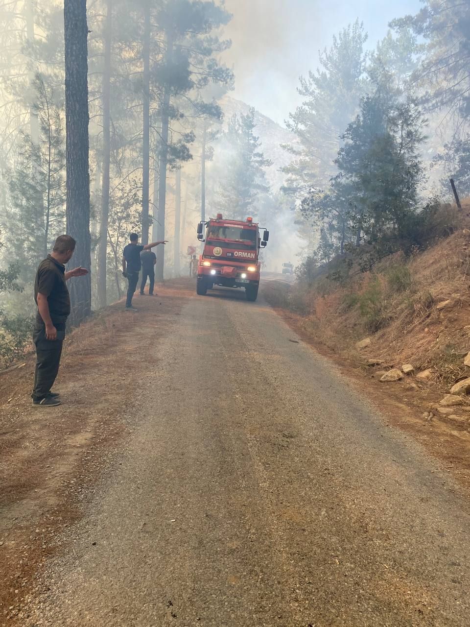 Kahramanmaraş'ta orman yangını! Alevler büyüyor... Mesire alanları boşaltıldı 1