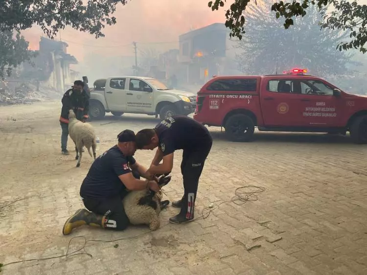 NASA görüntüledi: İzmir'deki felaketin boyutunu gözler önüne serdi! 11