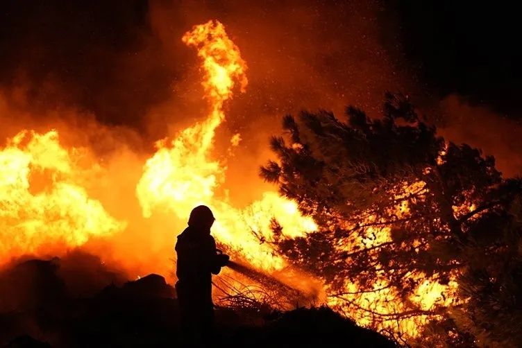Alevlerle mücadele büyük seferberlik... İzmir, Aydın, Muğla, Bolu ve Manisa'daki orman yangınlarında son durum: 5 aktif yangın var! 4