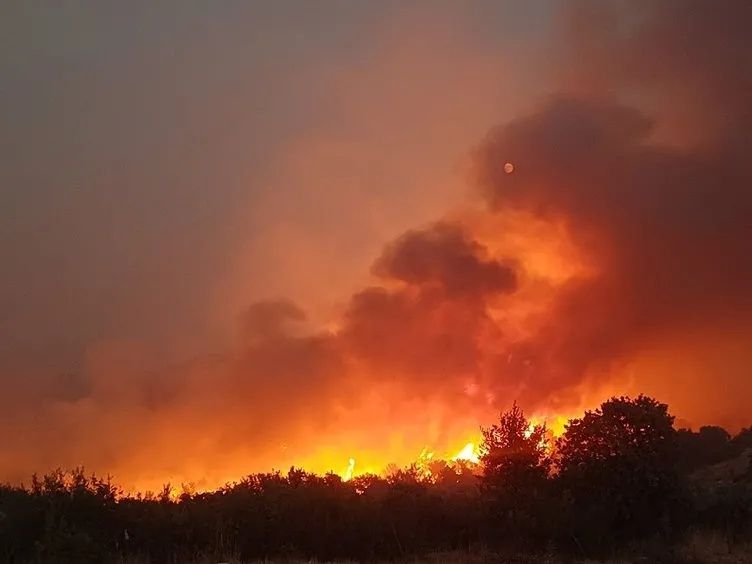 Alevlerle mücadele büyük seferberlik... İzmir, Aydın, Muğla, Bolu ve Manisa'daki orman yangınlarında son durum: 5 aktif yangın var! 7