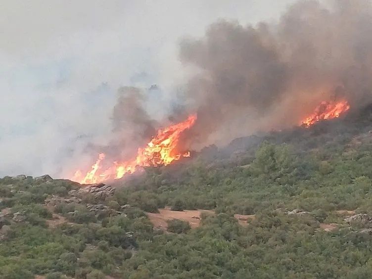 Manisa ve Uşak'taki orman yangınları kontrol altına alındı! 6
