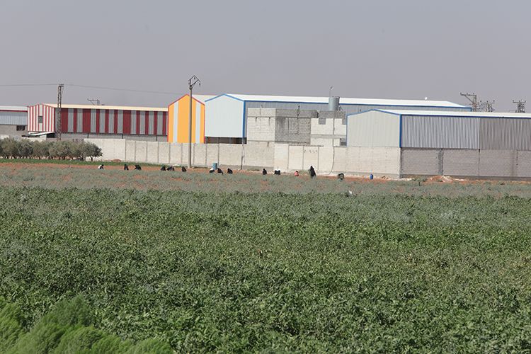 Fırat Kalkanı Harekâtı'nın 8. yıl dönümü! 3 binden fazla terörist öldürüldü, güvenli bölge oluşturuldu... 6