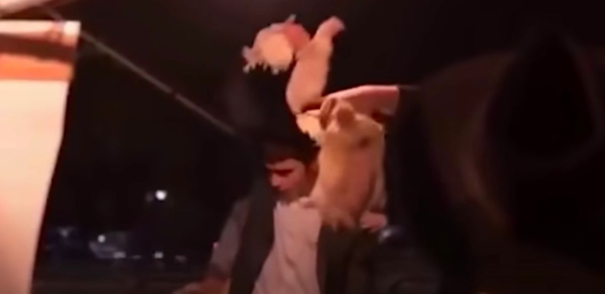 Askere alınmaya yönelik protestolarla gündeme gelmişlerdi! İşte dünyanın en dindar topluluğu Harediler hakkında bilinmeyenler! 14