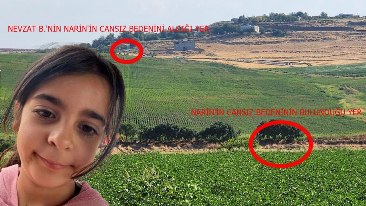Narin Güran'ın annesi Yüksel Güran'ın ifadesi ortaya çıktı: "Utanç duyuyorum" 8