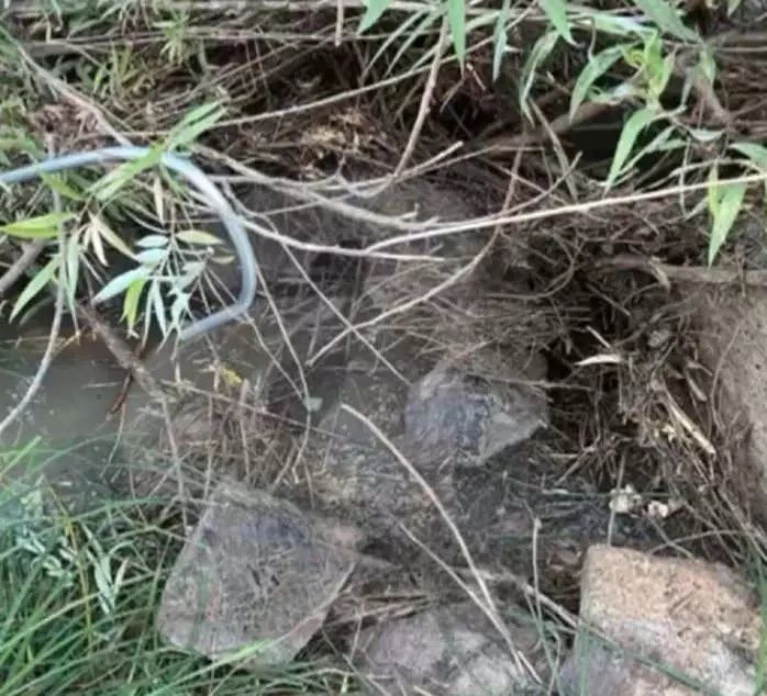 Narin Güran'ın dereden çıkarılma anı ortaya çıktı! 3