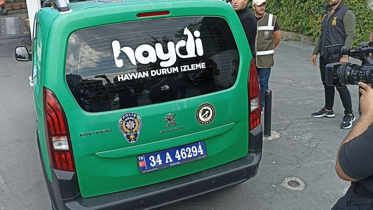 Şeyda polisi şehit eden suç makinesi Yunus Emre Geçti hiç cezaevine girmemiş! 3