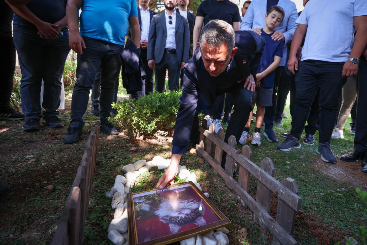 CHP'nin medyatik kedisi Şero öldü! CHP Genel Merkezi'nde cenaze töreni düzenlendi! Özgür Özel toprak attı... 3