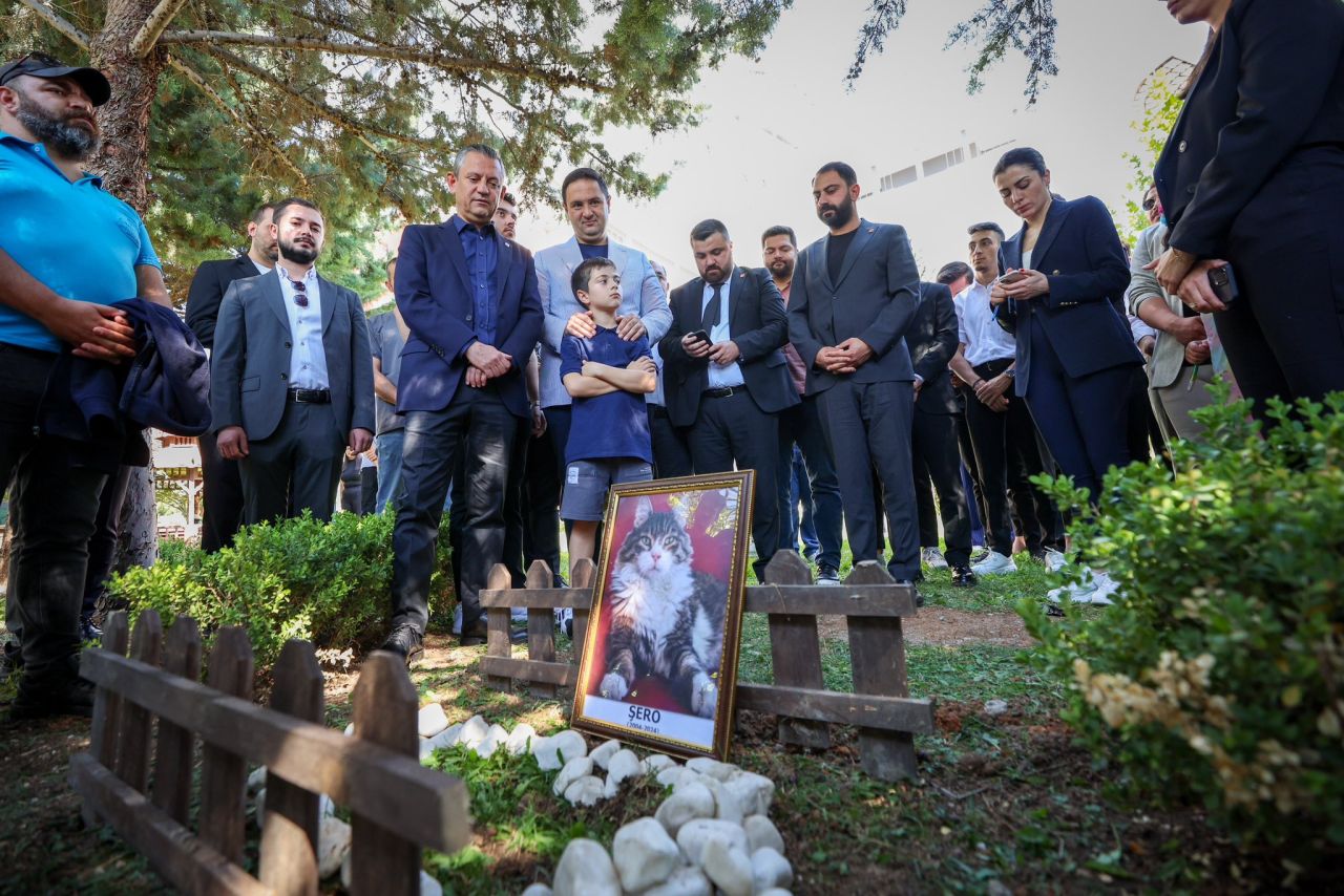 CHP'nin medyatik kedisi Şero öldü! CHP Genel Merkezi'nde cenaze töreni düzenlendi! Özgür Özel toprak attı... 4