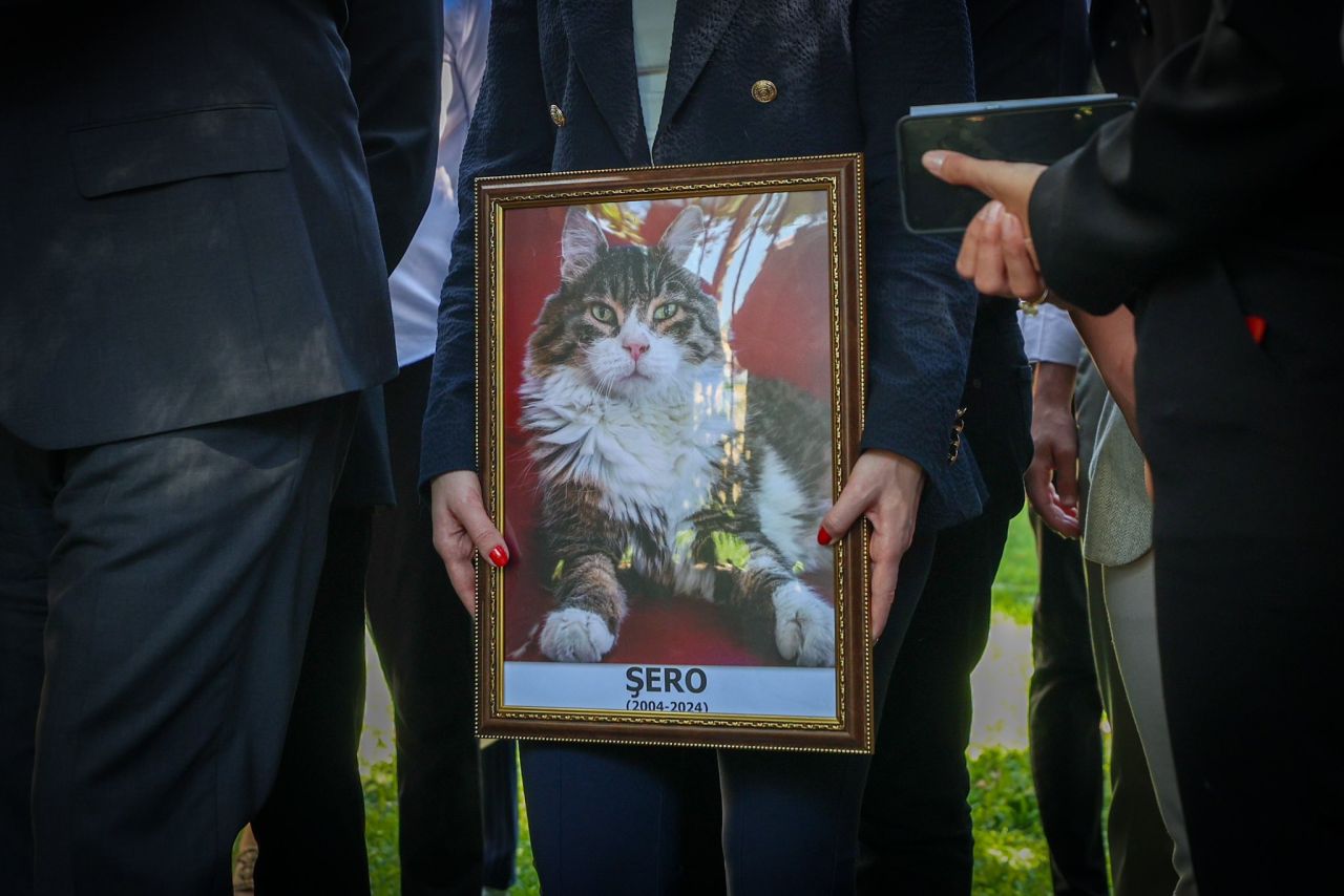 CHP'nin medyatik kedisi Şero öldü! CHP Genel Merkezi'nde cenaze töreni düzenlendi! Özgür Özel toprak attı... 1