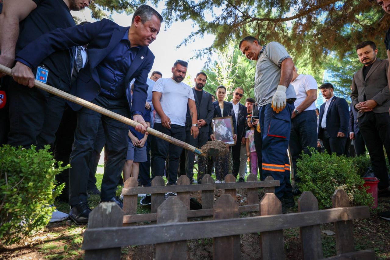 CHP'nin medyatik kedisi Şero öldü! CHP Genel Merkezi'nde cenaze töreni düzenlendi! Özgür Özel toprak attı... 2