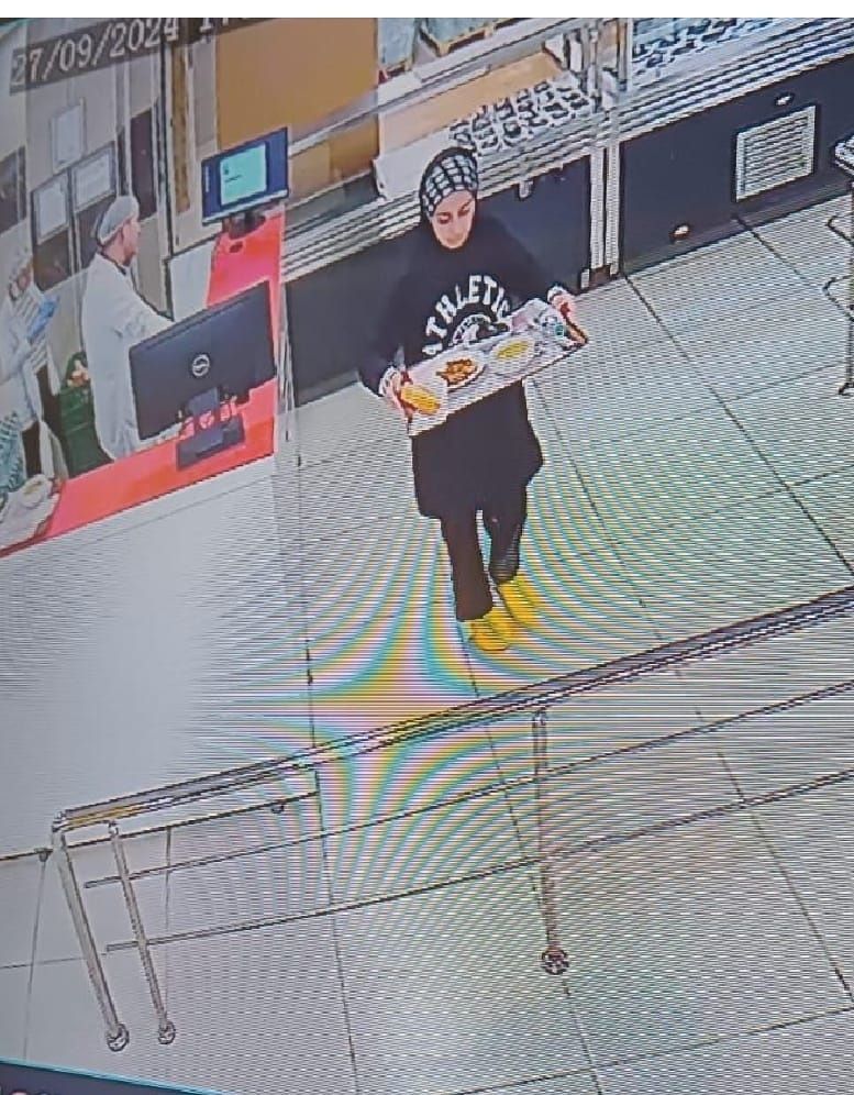 Van Yüzüncü Yıl Üniversitesi öğrencisi Rojin Kabaiş 3 gündür kayıp; sahilde telefon, kek ve su bulundu 8