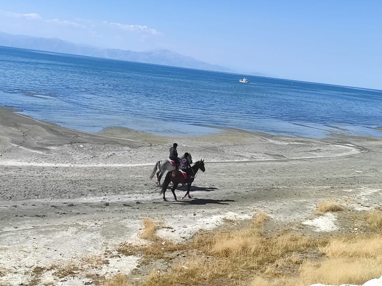 Üniversiteli Rojin'i bulmak için Çanakkale'den özel ekip geldi, sonar cihazı kullanılacak 6