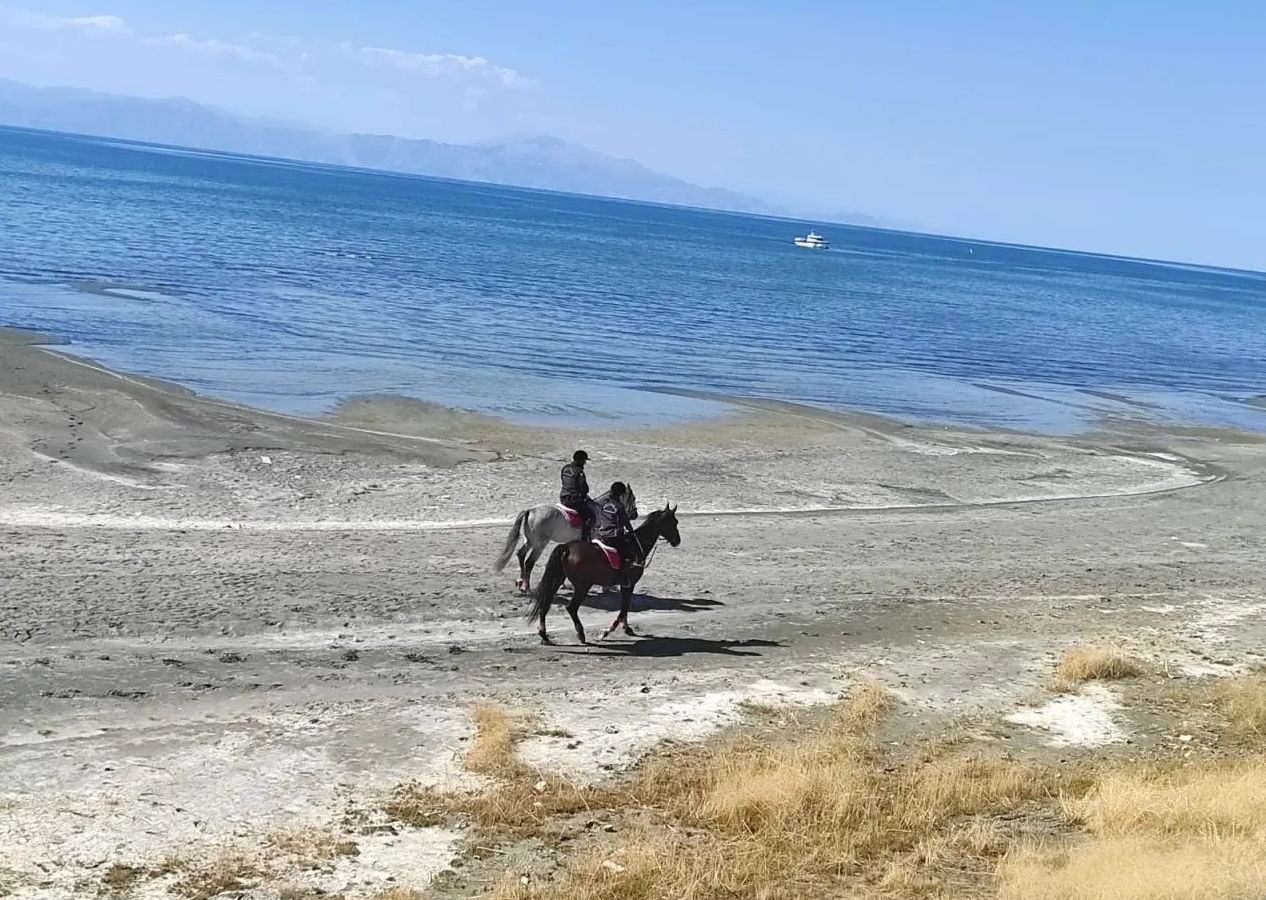 Van'da kaybolan Rojin Kabaiş'ten hala iz yok; telefonu jandarma kriminale gönderildi 5