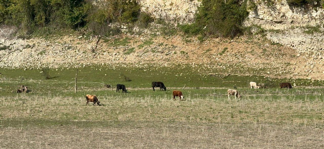 İstanbul'un 102 günlük suyu kaldı! Barajlardaki doluluk oranı yüzde 37'ye düştü 5