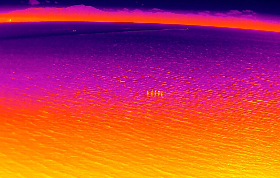 100 kişilik özel ekip Rojin'i arıyor; termal kameralar, solar cihazları, dronlar devrede 1