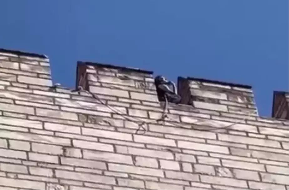 Semih Çelik'in babasından kan donduran ifadeler! "Oğlun kızımın beynini yıkıyor, beraber intihar edecekler" 7