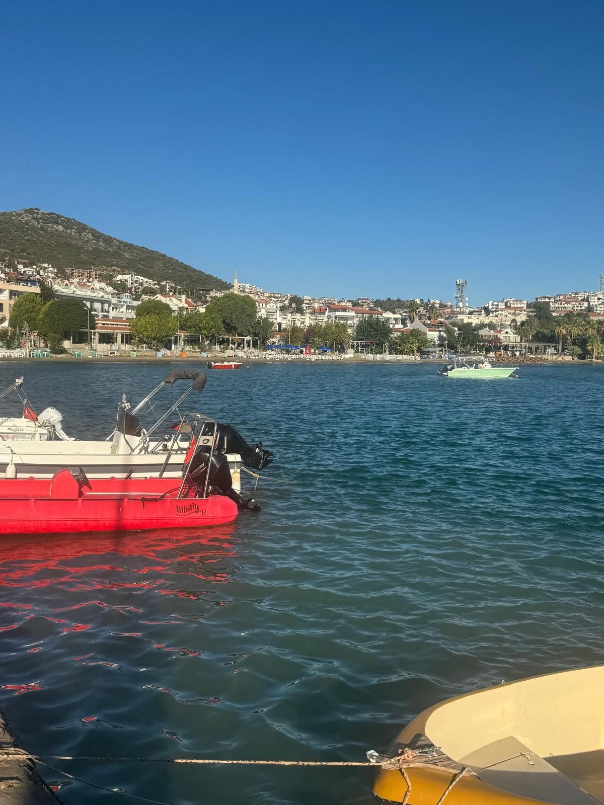Korkutan görüntü! Datça'da denizin rengi aniden değişti! İşte nedeni... 4