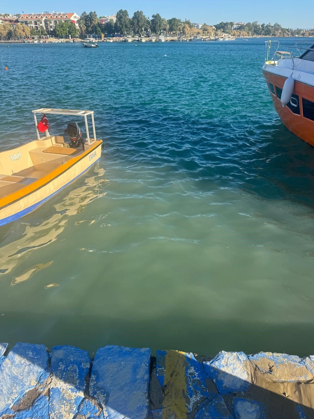 Korkutan görüntü! Datça'da denizin rengi aniden değişti! İşte nedeni... 5