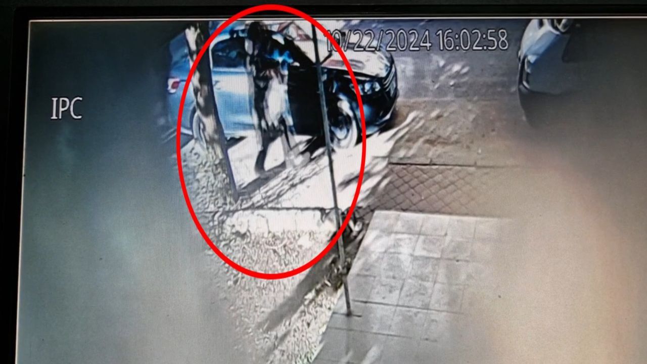 Diyarbakır'da dini nikahla yaşadığı kadını öldürdü! O anlar an be an kaydedildi 4
