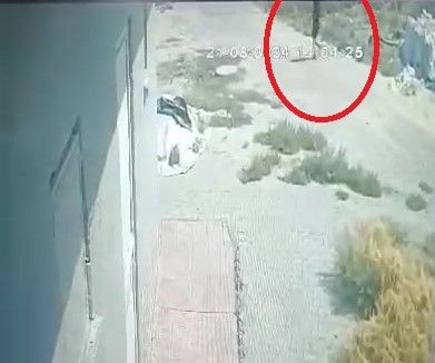 Narin'in yeni görüntüleri ortaya çıktı, öldürülmeden 1 saat öncesinde kaydedilmiş 2